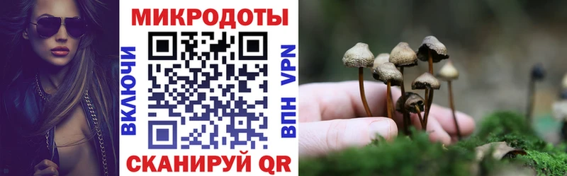 Галлюциногенные грибы мицелий omg ссылки Нахабино